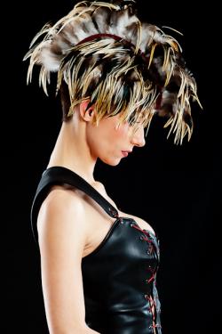 Coq flammé - 10-15 cm - naturel